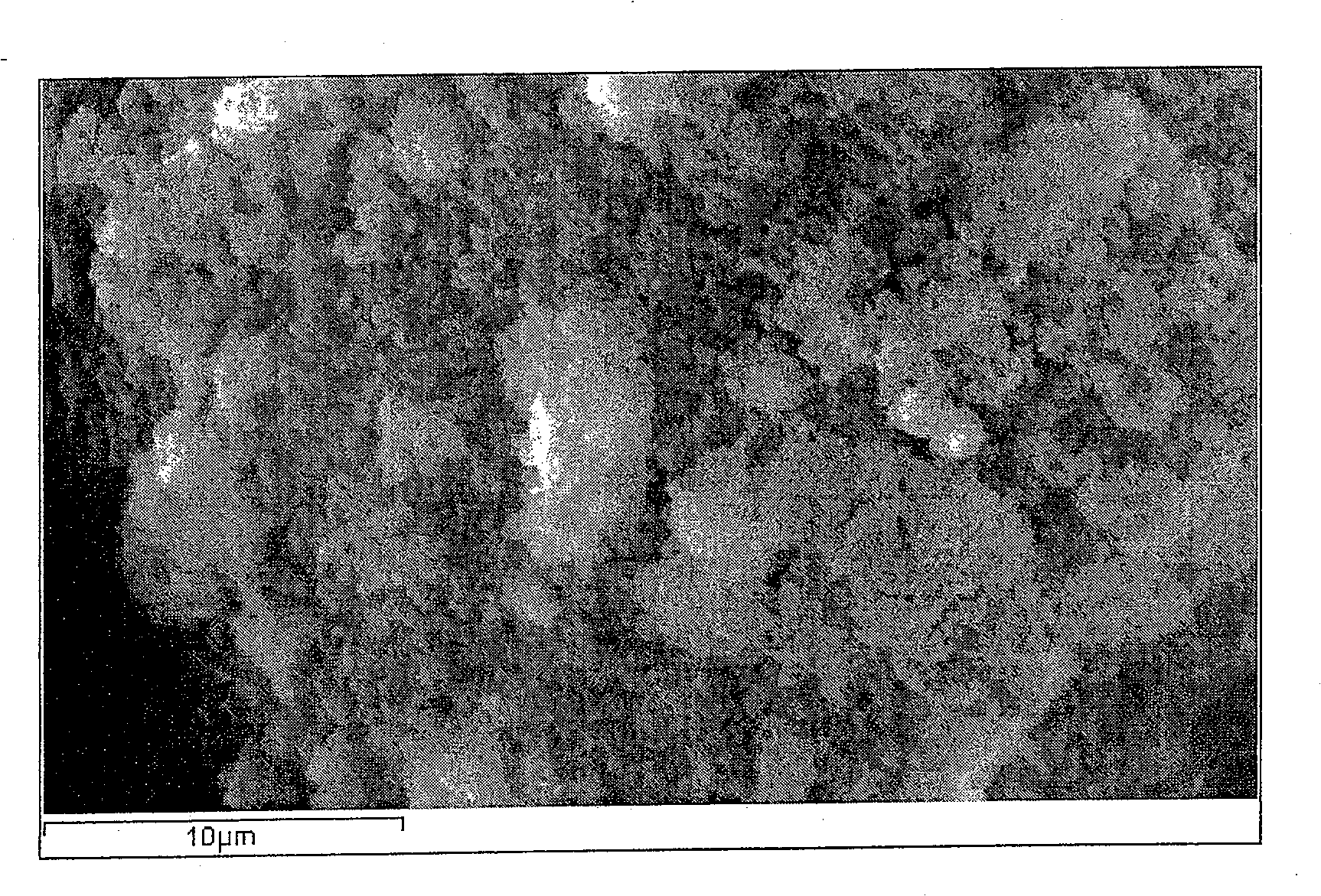 Method for preparing benzodiazepine molecule surface blotting solid-phase extractant