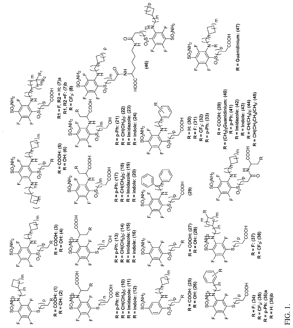Ca ix - nir dyes and their uses