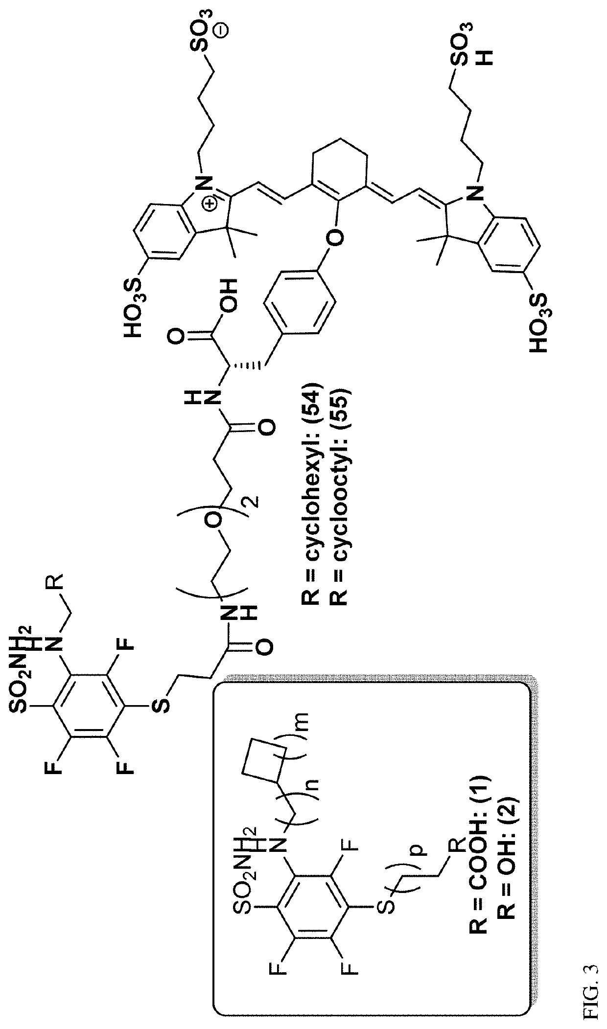 Ca ix - nir dyes and their uses