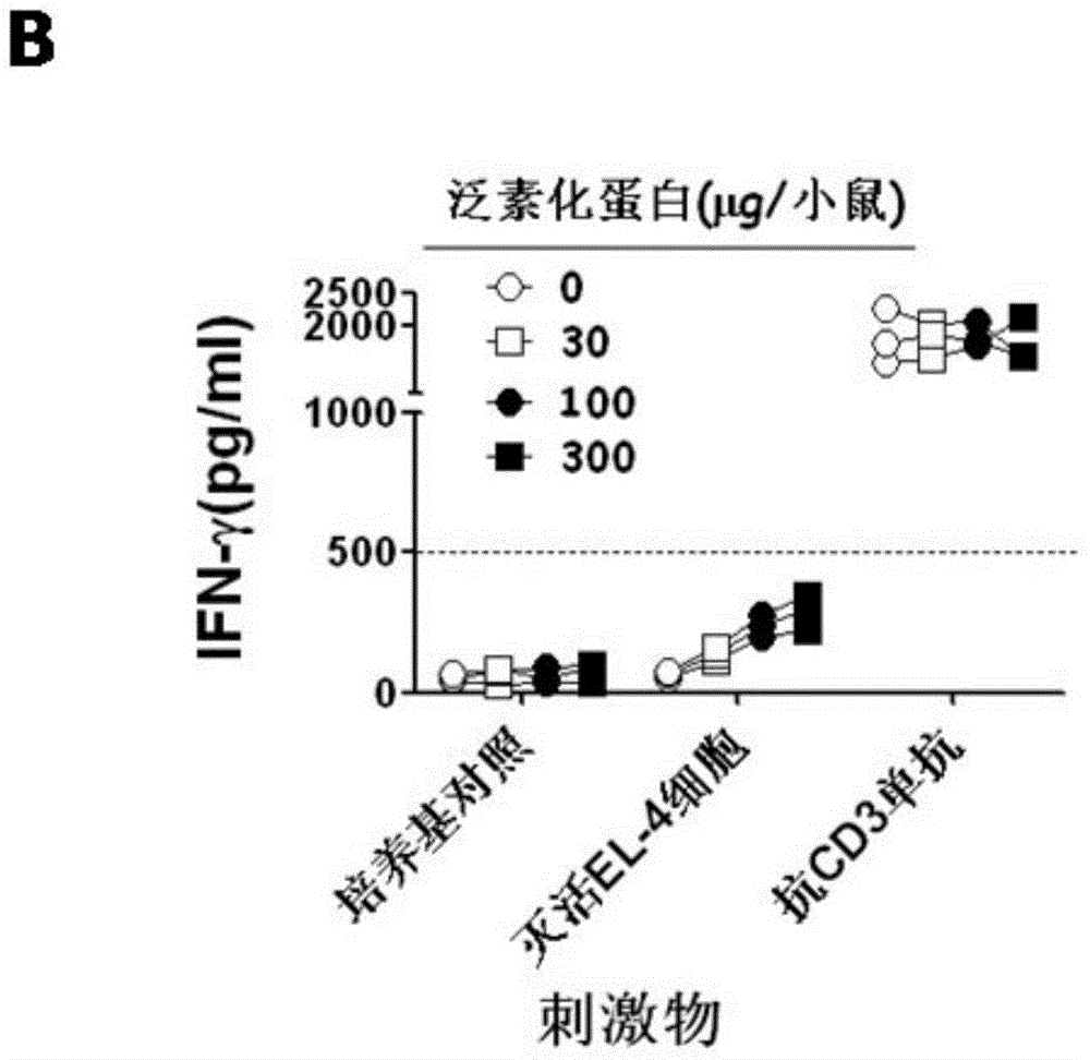 Anti-tumor ubiquitinated protein and extraction method and application thereof