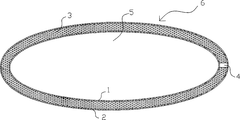 Novel bone surgery fixing system and method of use thereof and polyurethane applied therein