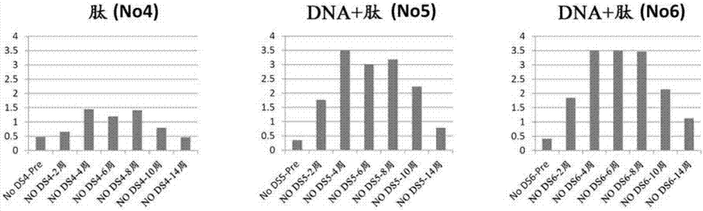 Dna-peptide combination vaccine