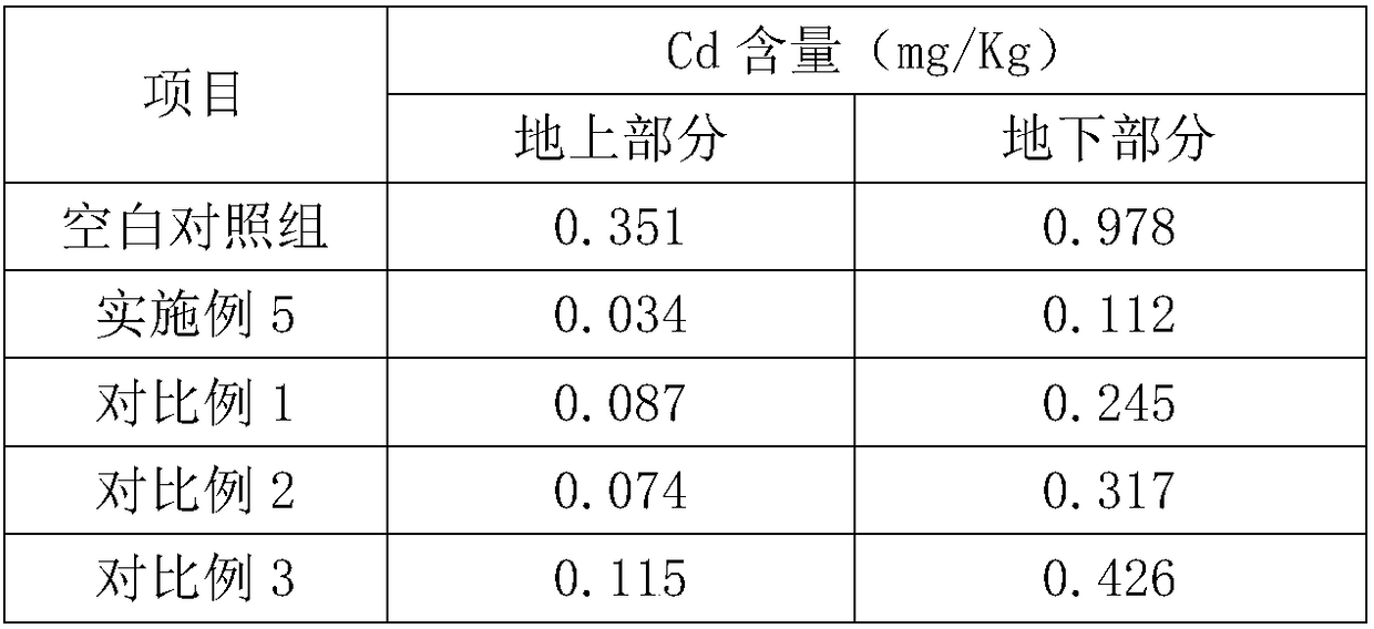 Soil remediation agent for cultivation of Dioscored nipponicd Mak and preparation method and application thereof