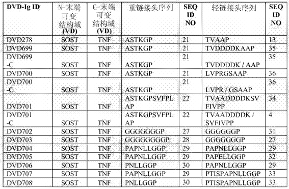 Dual variable domain immunoglobulins and uses thereof