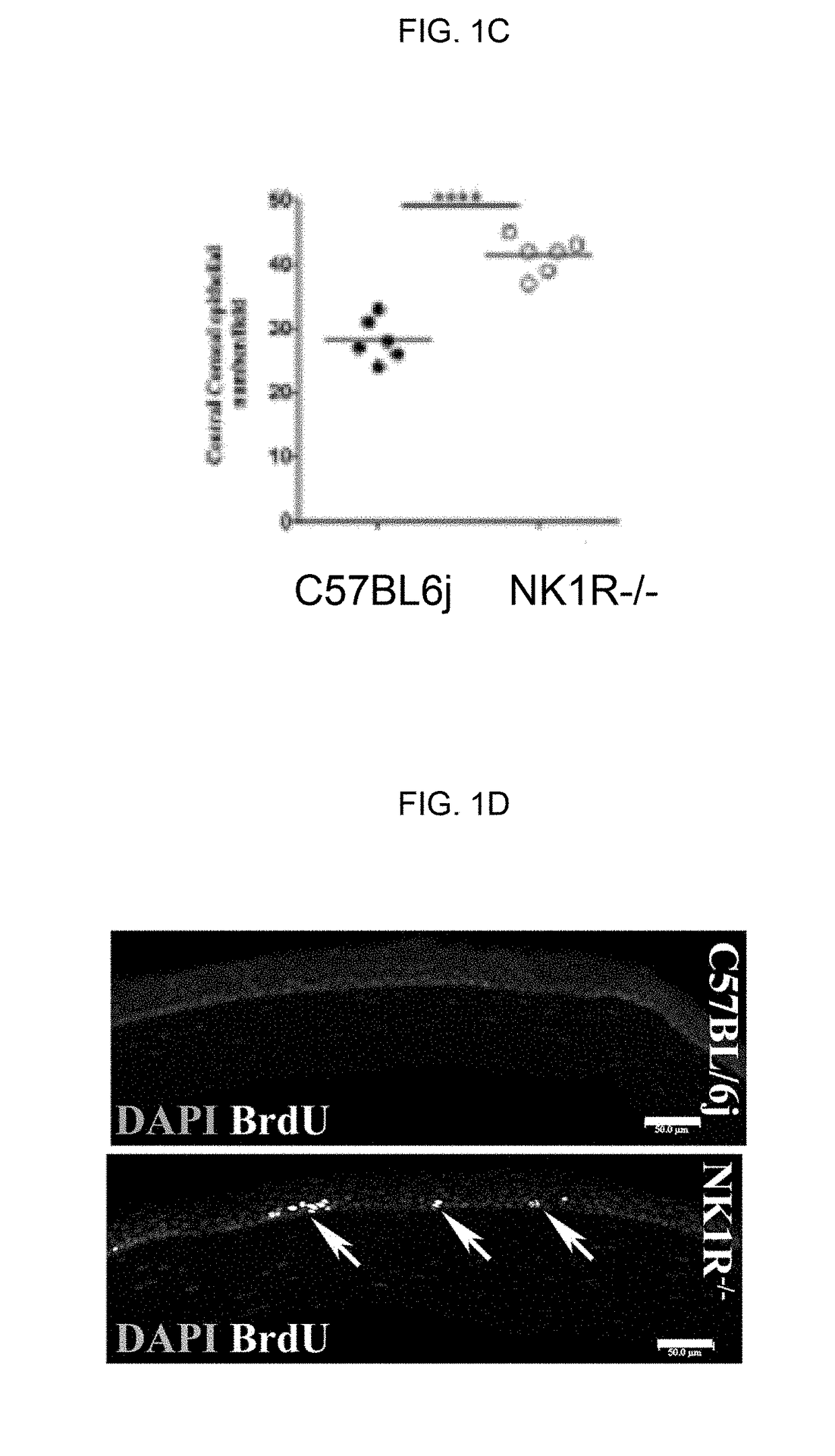 Neurokinin 1 receptor agonist mediated protection of the eye
