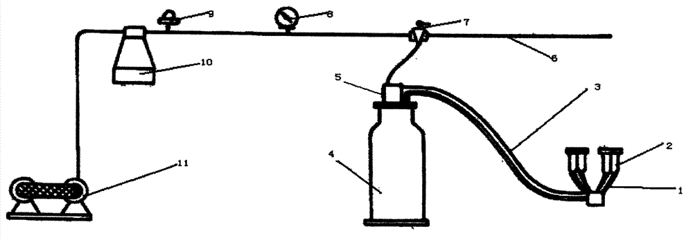 Milking apparatus for mare's milk