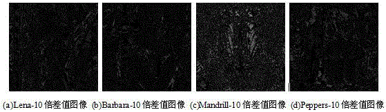 Image watermarking method based on phase singular value correction