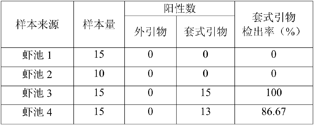 A nested primer and its application for early warning of Enterococcus hepatica infection in cultured prawns in my country