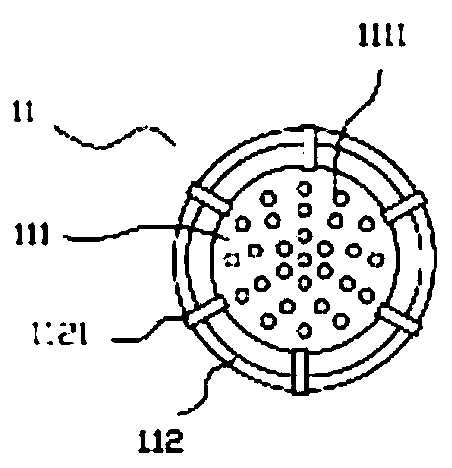 Chemical nickel plating solution treatment device and treatment method thereof