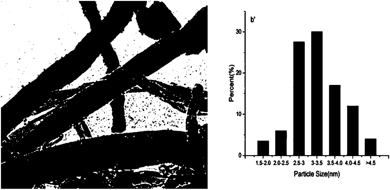 Carbon nanotube-supported catalyst applicable to oxidizing atmosphere and preparation method thereof