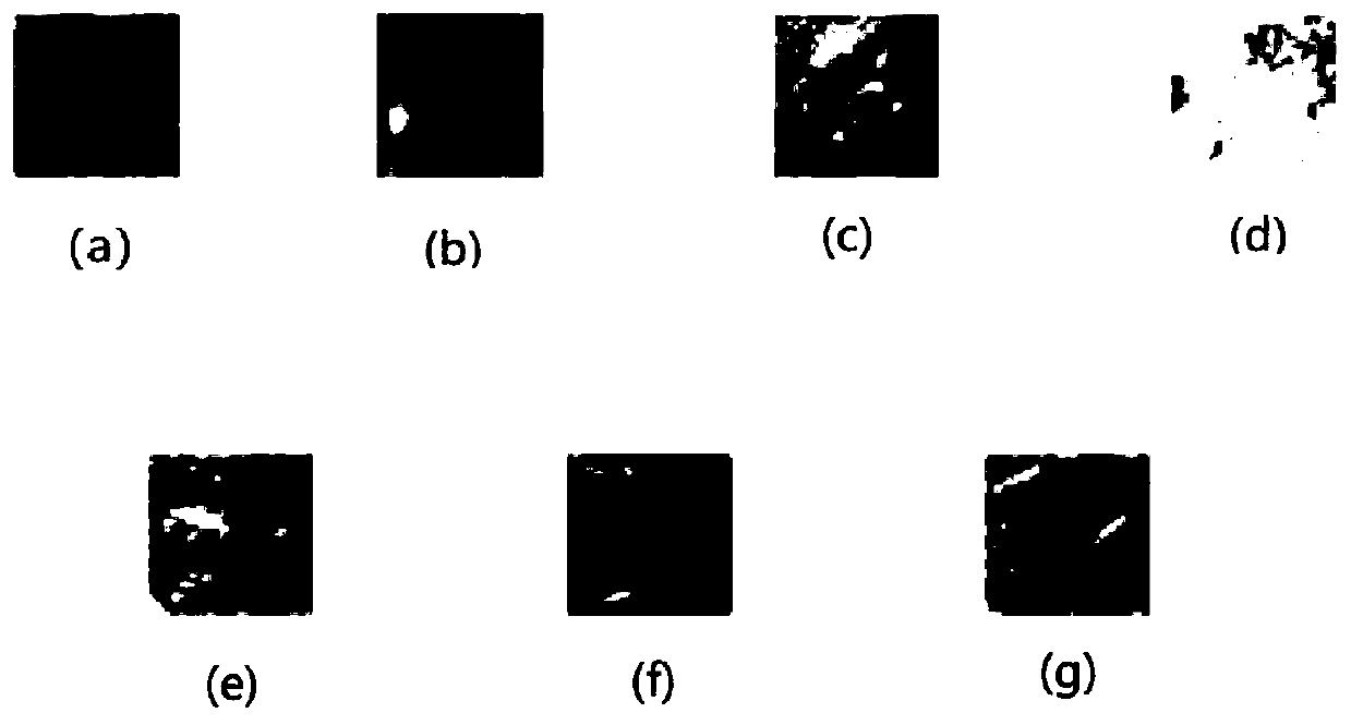 A lung texture recognition method based on deep neural network to extract apparent and geometric features