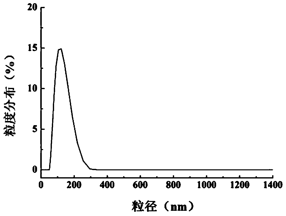 Methotrexate transdermal drug delivery local controlled release preparation and preparation method and application thereof