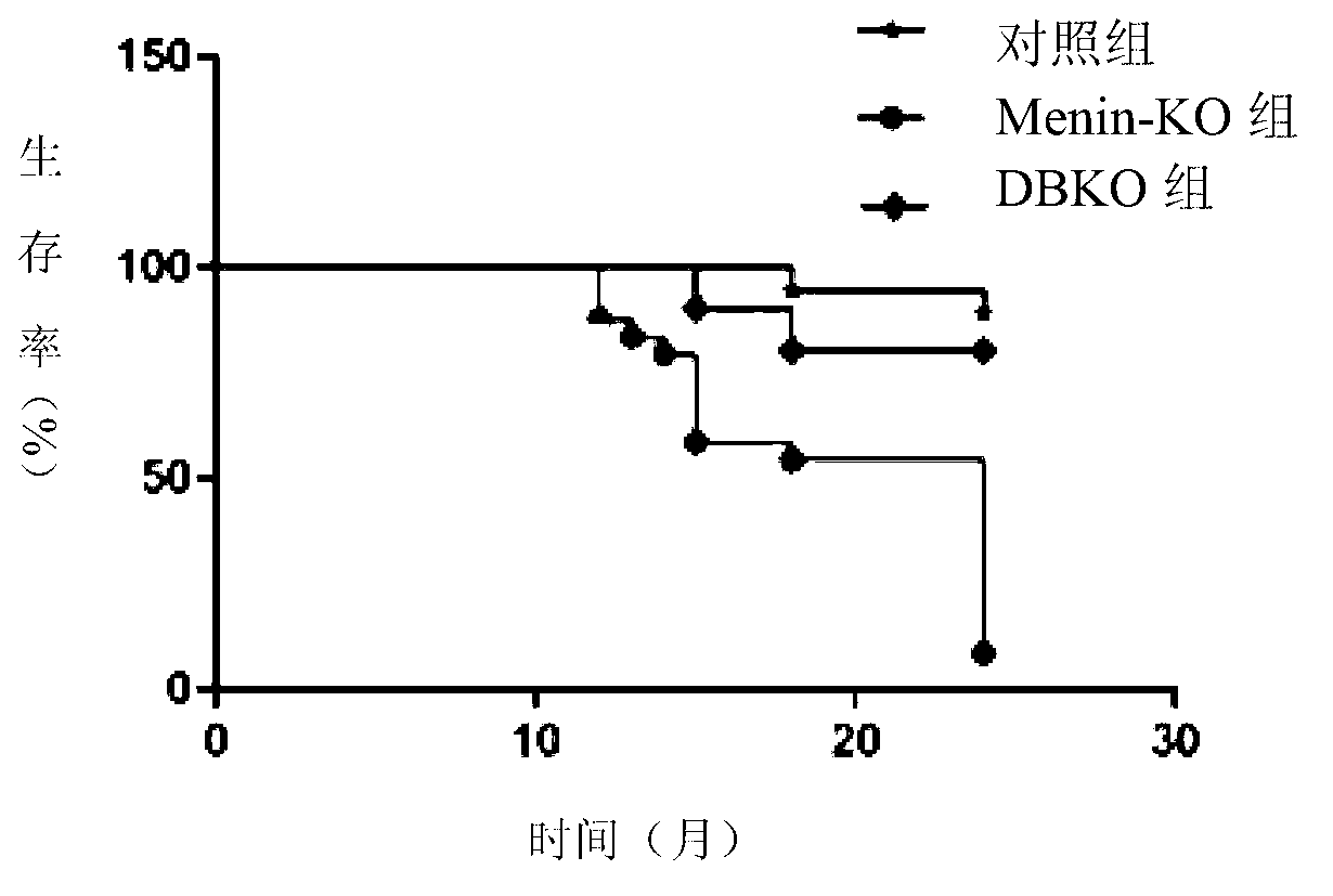 Application of beta-catenin and gene