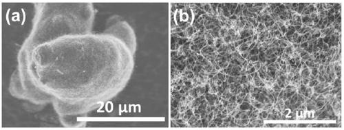 Preparation method of foamed aluminum reinforced by synergism of carbon nano tubes and alumina particles