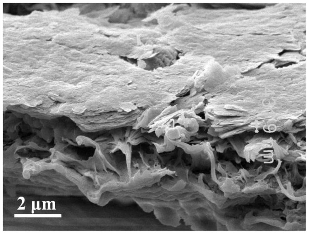 A two-dimensional layered zeolite molecular sieve membrane with high separation stability and its preparation method and application