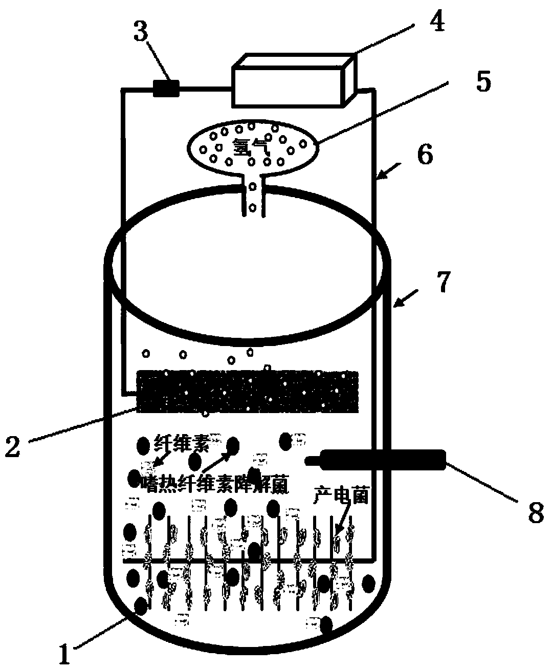 Method for efficiently recovering hydrogen from cellulose by synergistically utilizing thermophilic bacterial flora based on microbial electrolytic cell