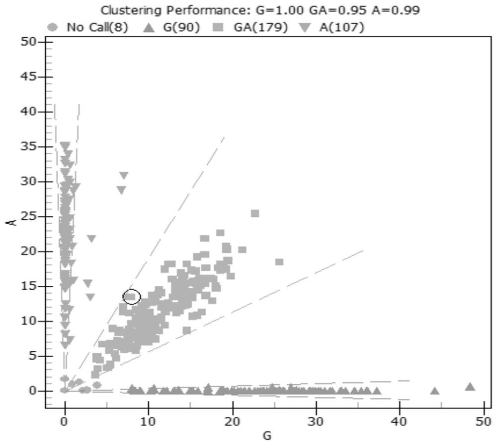 SNP (Single Nucleotide Polymorphism) molecular marker related to rabbit muscle quality character and application of SNP molecular marker