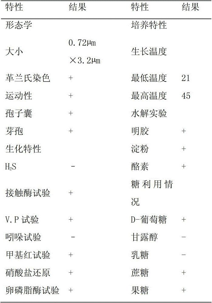 Bacillus subtilis capable of producing broad spectrum and efficient antibacterial peptide and application of Bacillus subtilis