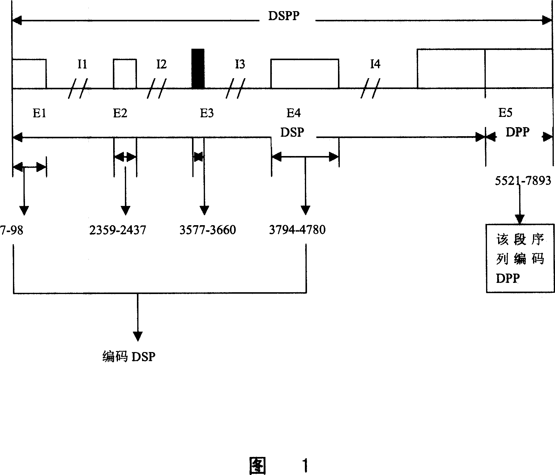 Method for diagnosing and treating type II dentinogenesis by using DSPP gene and encoding product thereof