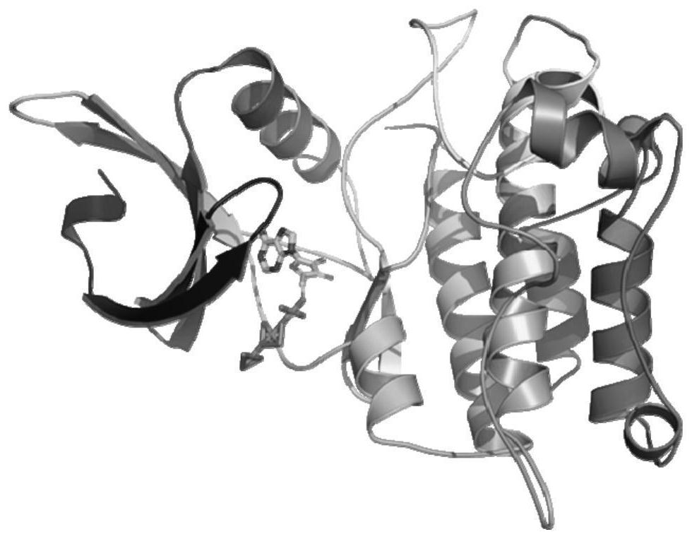 Application of desloratadine in preparation of medicine taking TGF-beta I type receptor as target spot