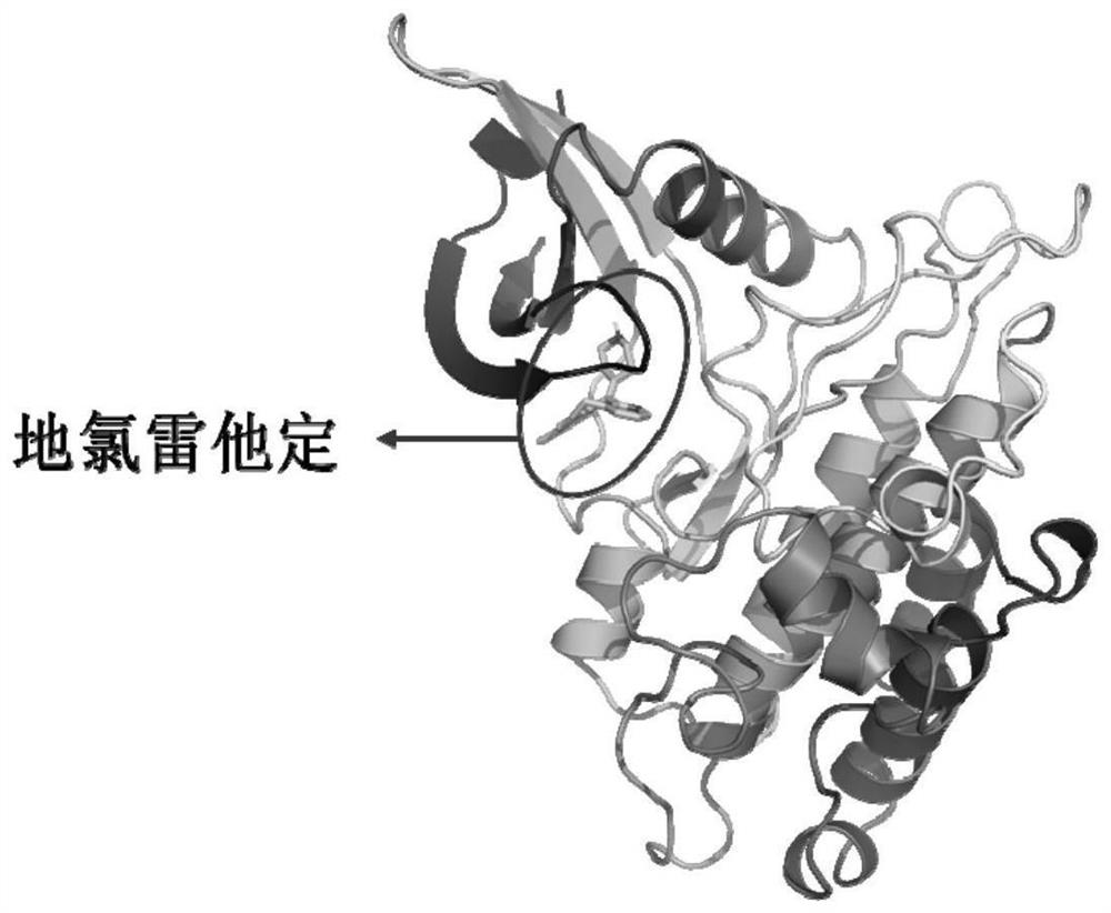 Application of desloratadine in preparation of medicine taking TGF-beta I type receptor as target spot