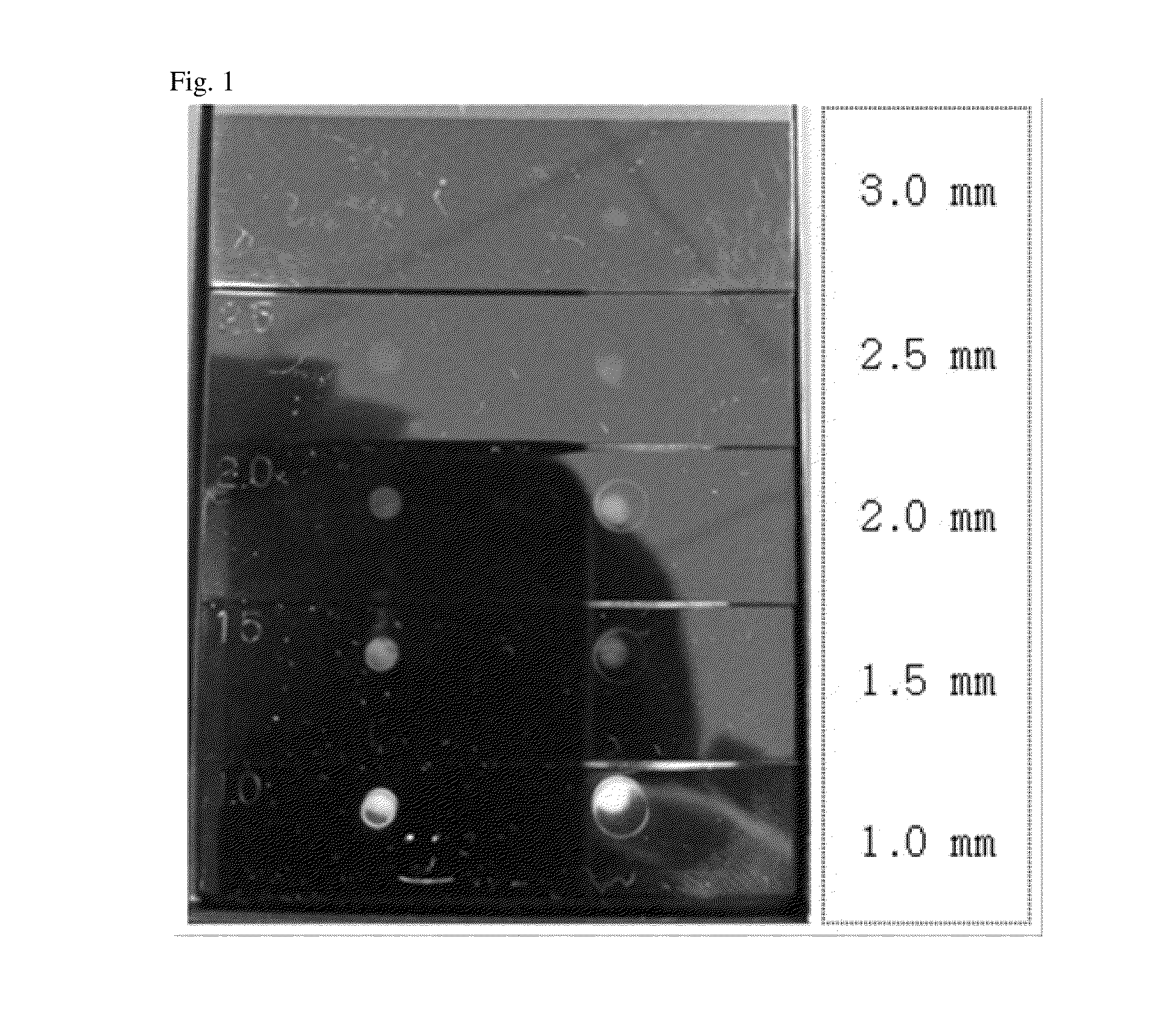 Colored Resin Composition Exhibiting Pleochroism, and Molded Plastics Manufactured Using Same