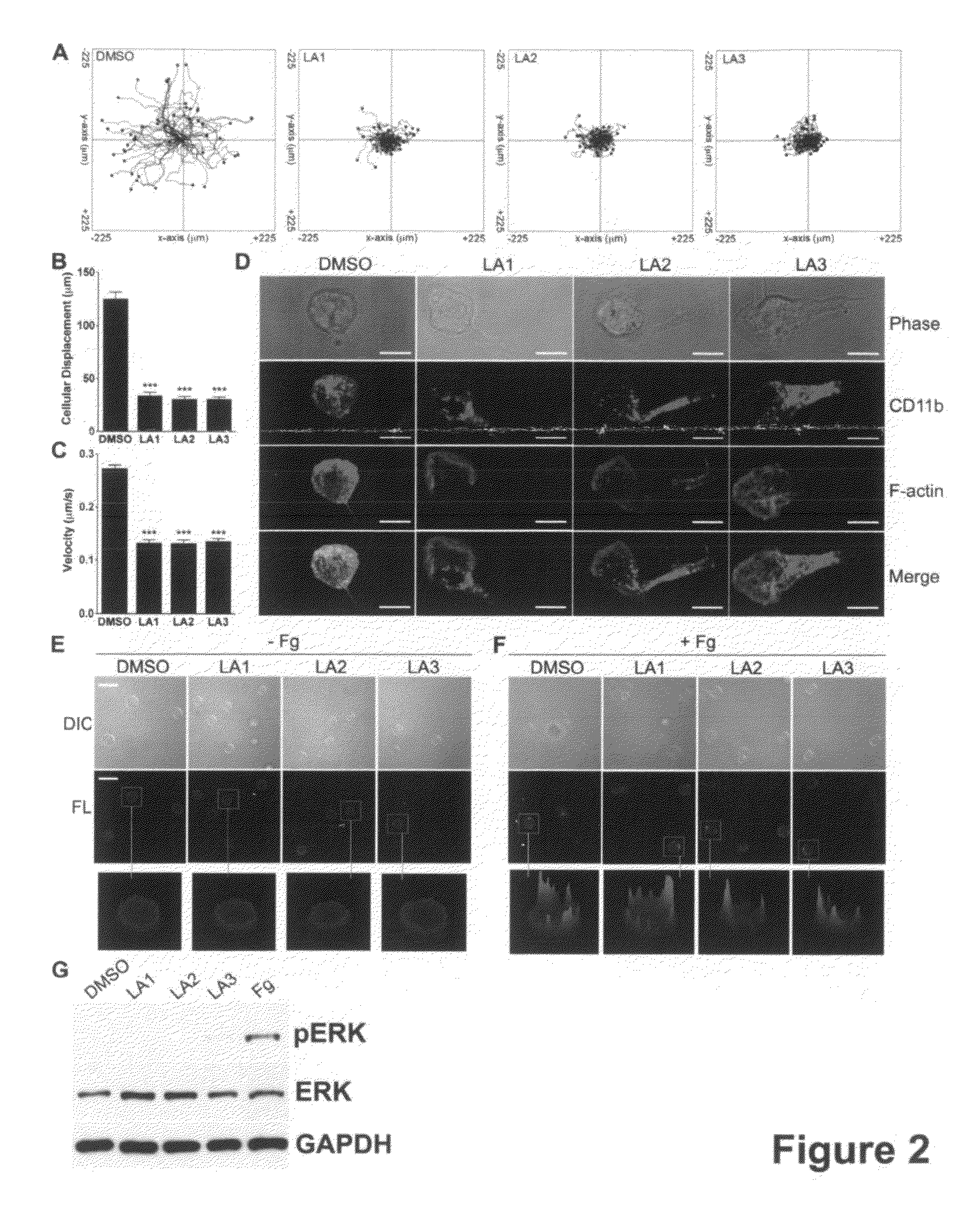 Compounds and methods for regulating integrins