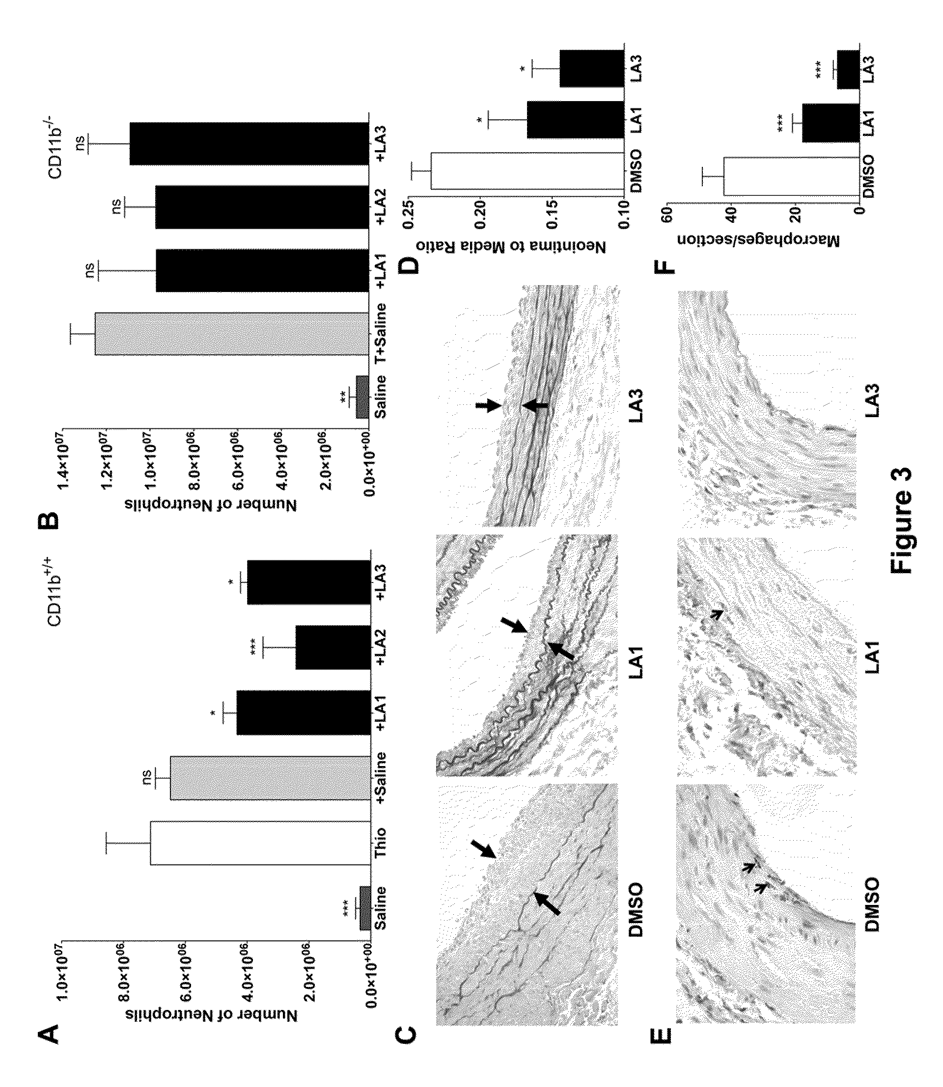 Compounds and methods for regulating integrins
