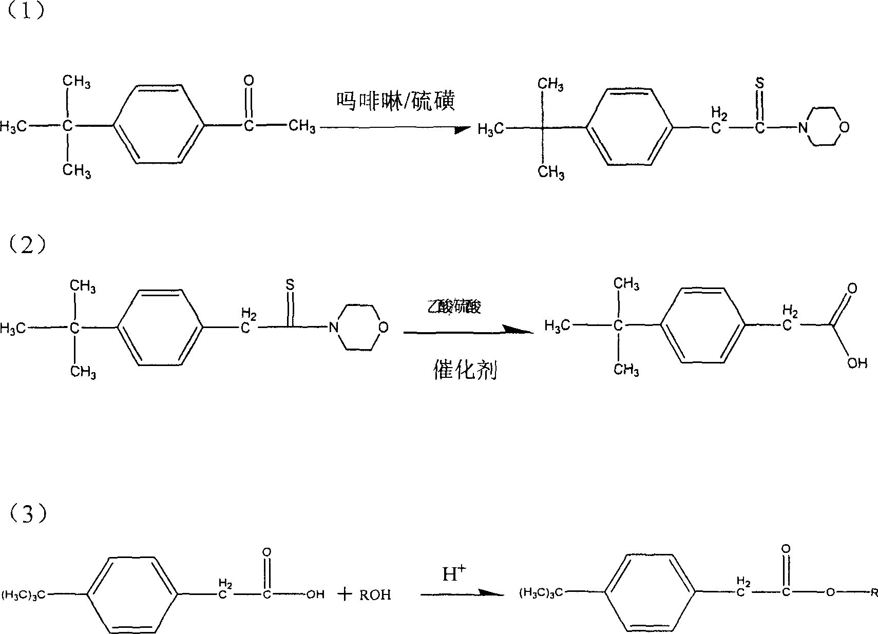 Process for preparing P-tertiary butyl phenyl acetic ester organic compounds