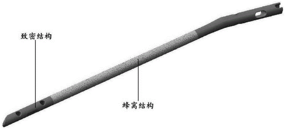 A kind of intramedullary nail with multifunctional coating and preparation method thereof