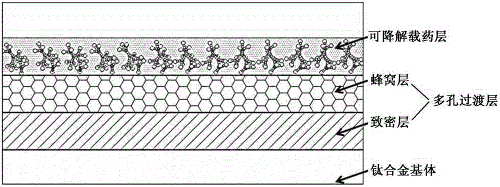 A kind of intramedullary nail with multifunctional coating and preparation method thereof