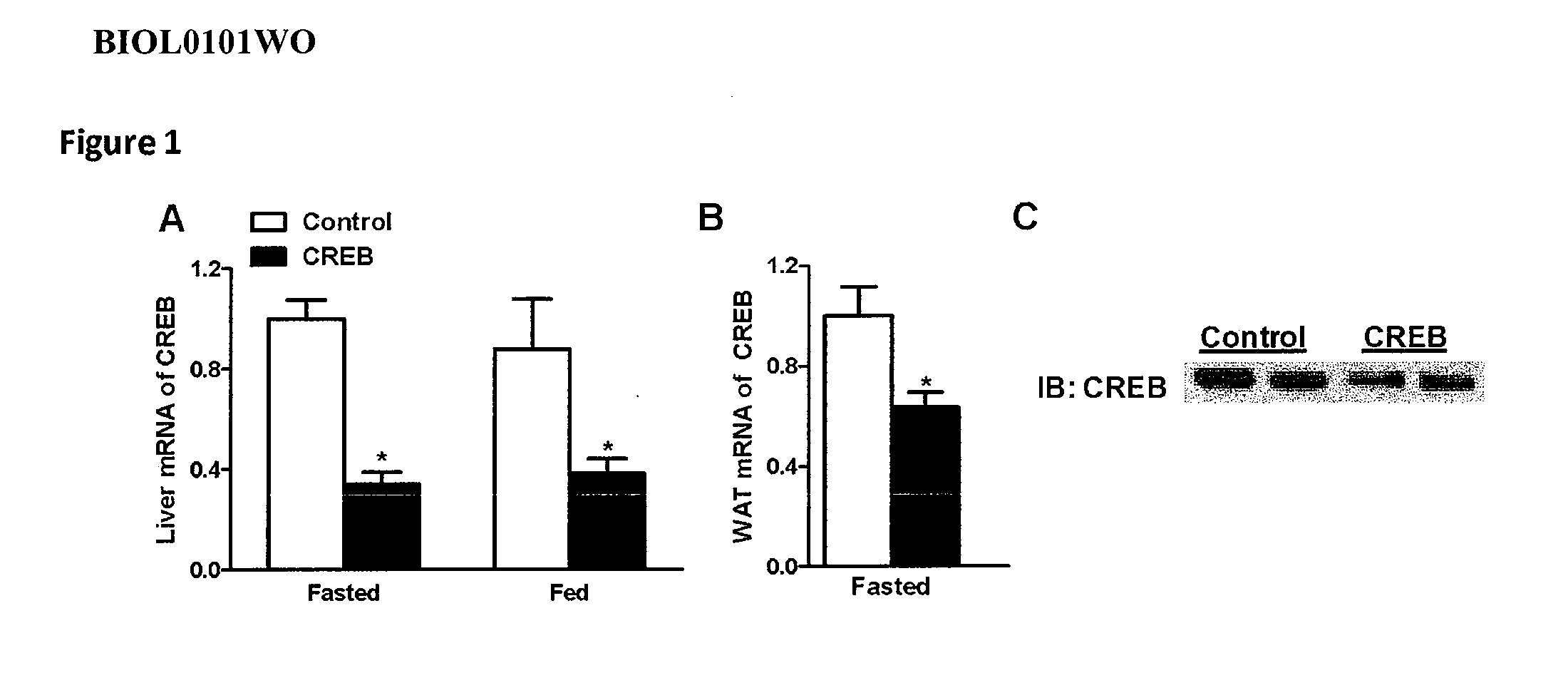 Methods for modulating expression of creb