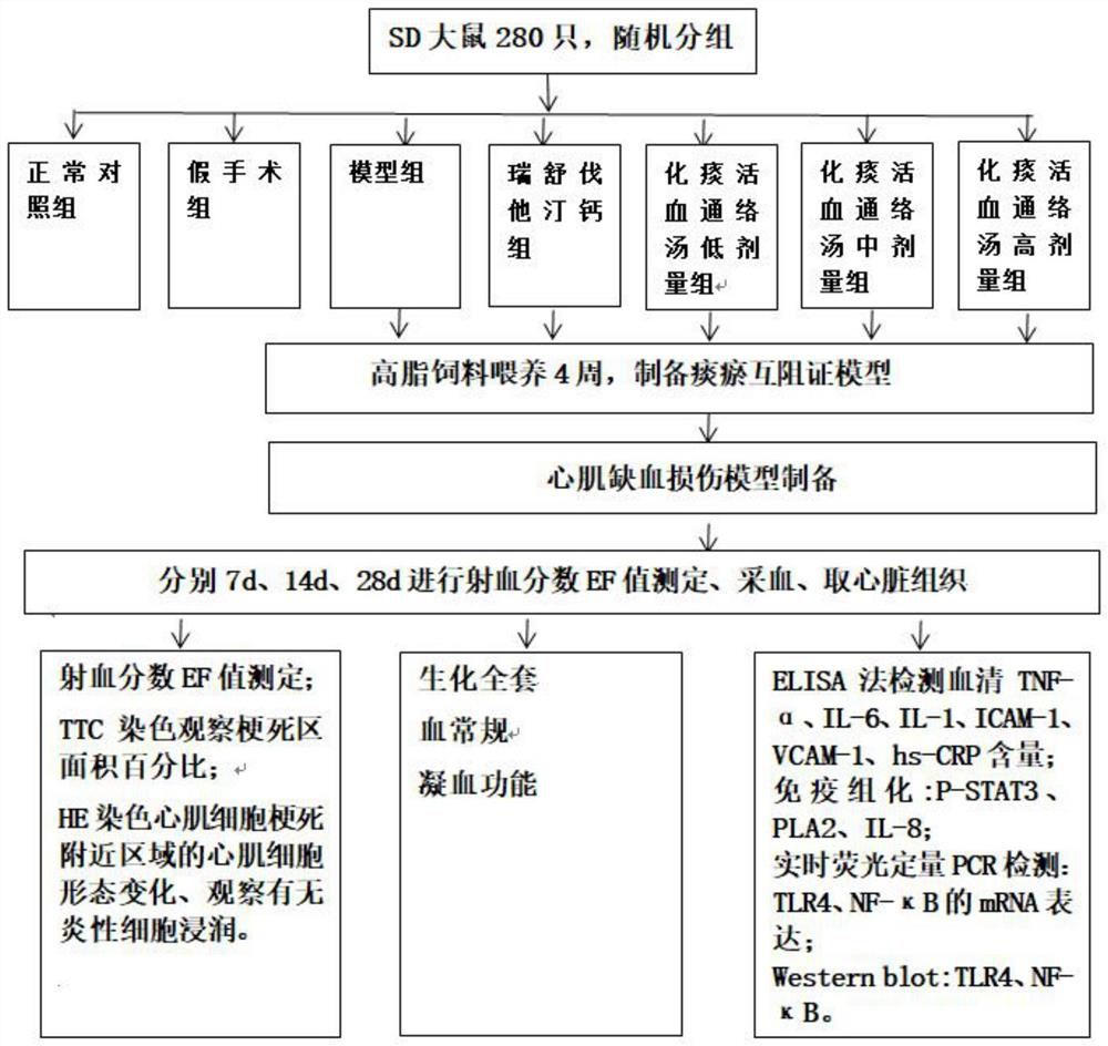 Decoction for reducing phlegm, promoting blood circulation and dredging collaterals, preparation method and application