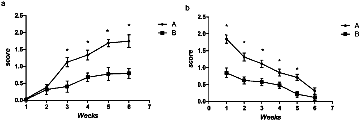 Drug composition for treating radiation-induced oral mucositis and application thereof