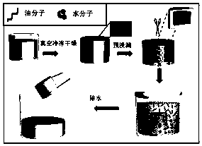 Preparation method and application of composite structure superhydrophilic chitosan aerogel under oil