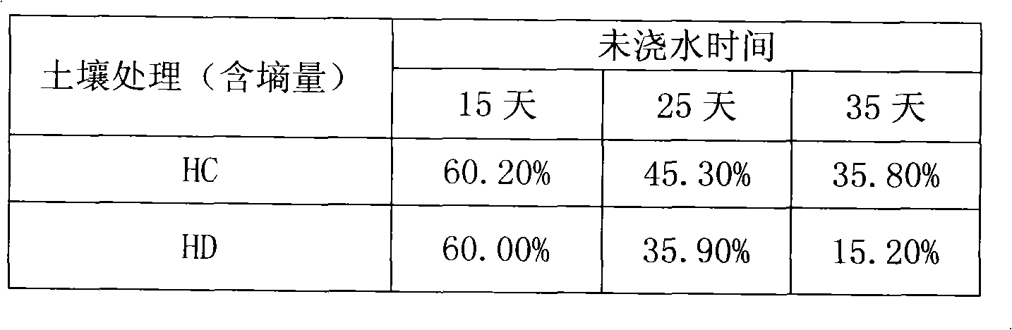 Slow release fertilizer