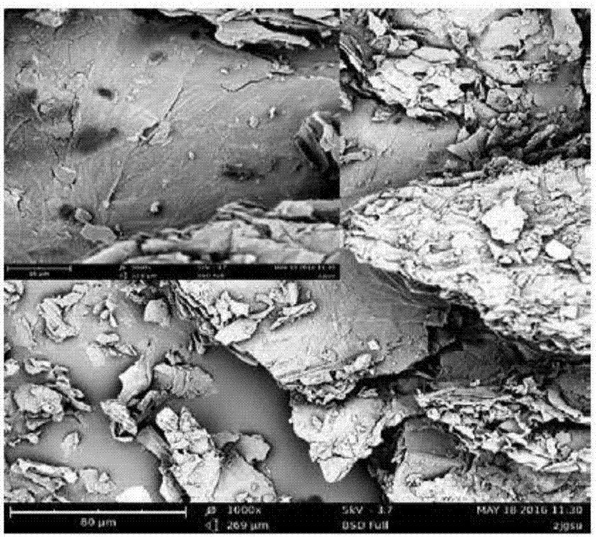 Amino-terminated hyperbranched polyamide oxidation-modified peanut shell and application thereof in separation and detection of sunset yellow in foods