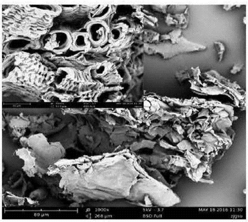 Amino-terminated hyperbranched polyamide oxidation-modified peanut shell and application thereof in separation and detection of sunset yellow in foods