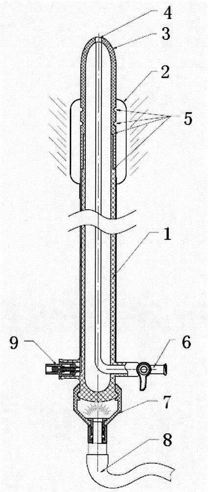 Rectum detection device and utilization method and application thereof