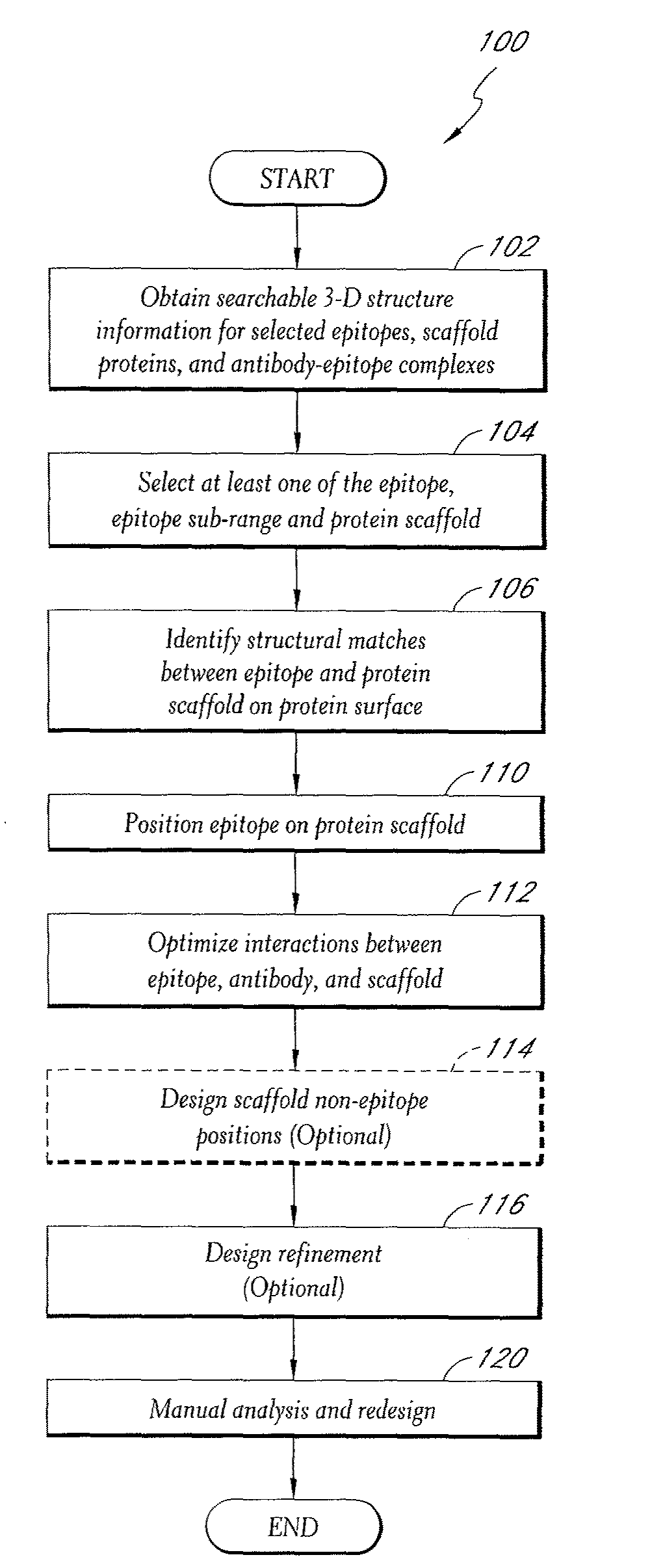 Epitope-transplant scaffolds and their use