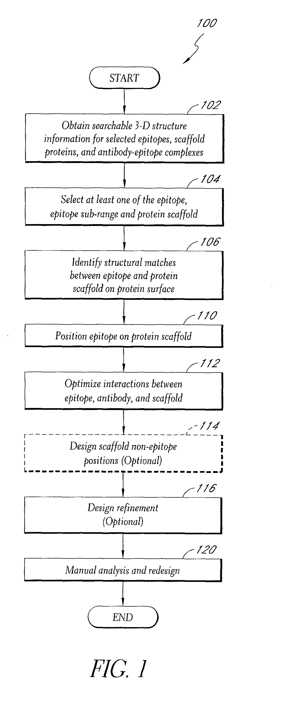 Epitope-transplant scaffolds and their use