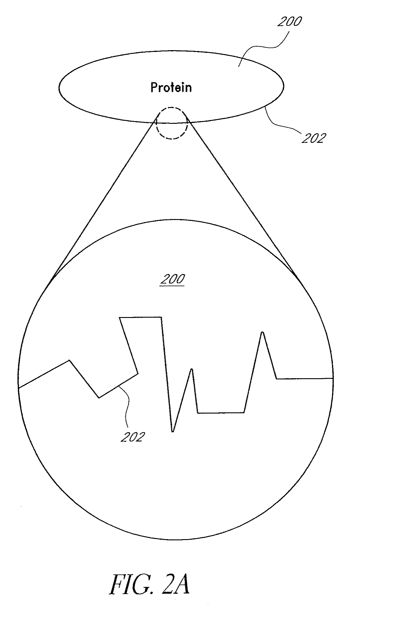 Epitope-transplant scaffolds and their use