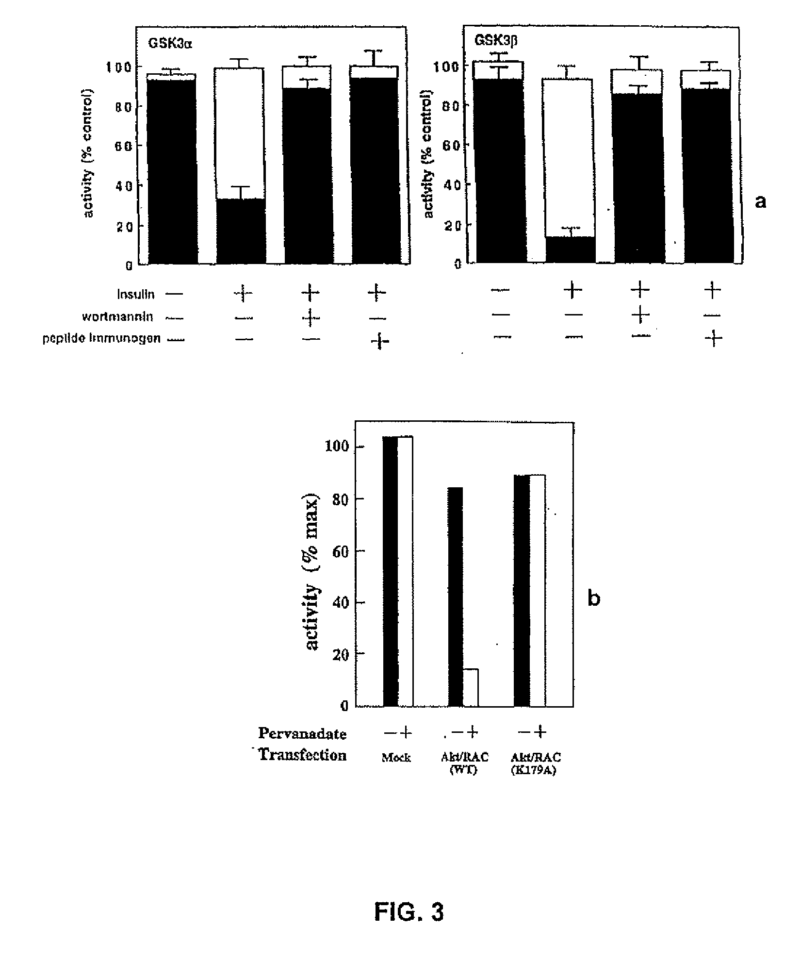 RAC-PK as a therapeutic agent or in diagnostics, screening method for agents and process for activating RAC-PK