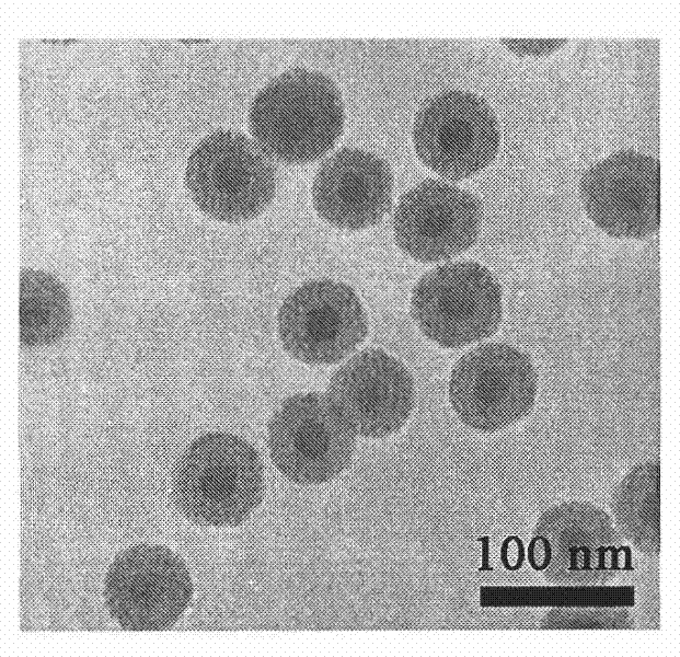 Preparation method of fluorescent mesoporous silica-based core-shell nanoscale capsule