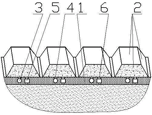 organic soil farm