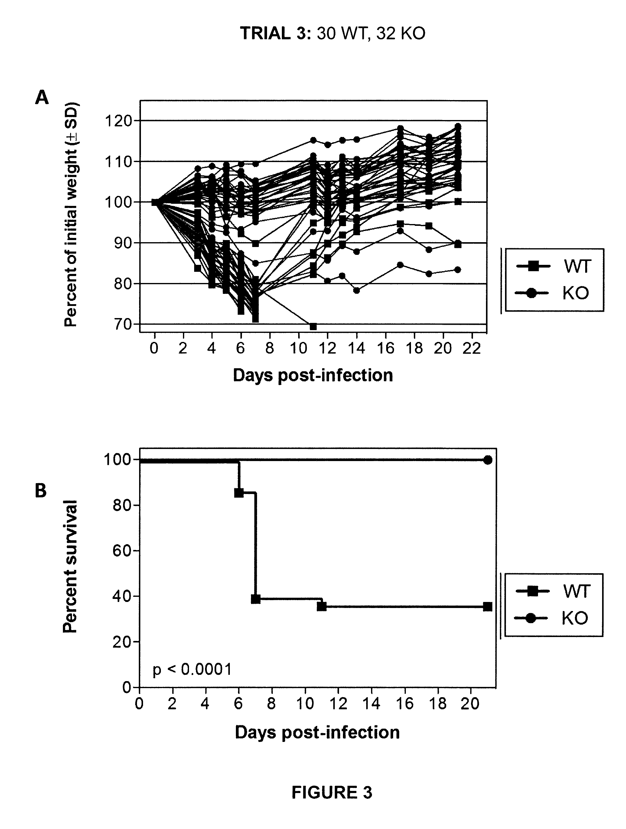 Methods for treating or preventing influenza virus infection by administering a serine protease inhibitor