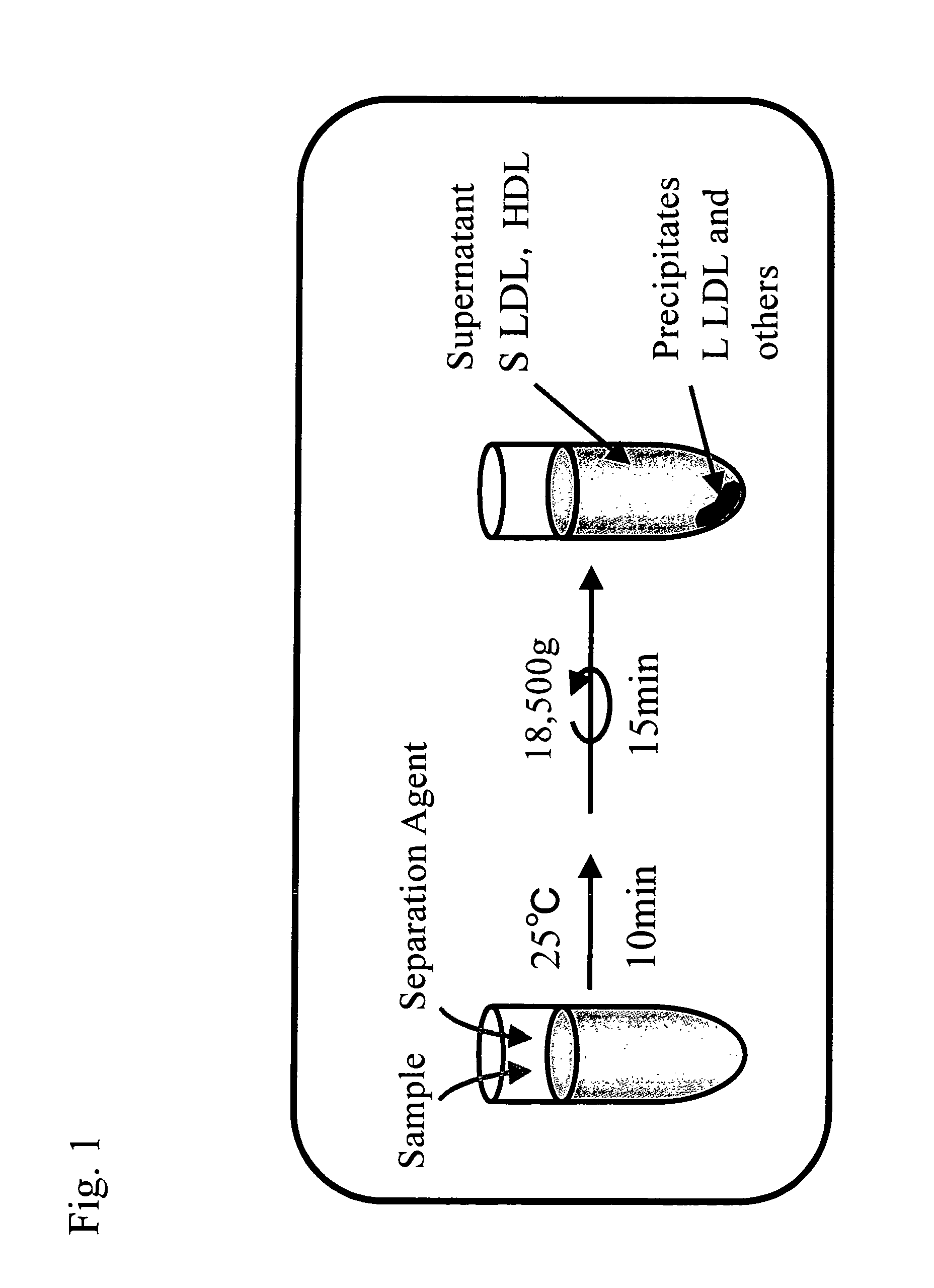 Method of quantifying small-sized low density lipoprotein