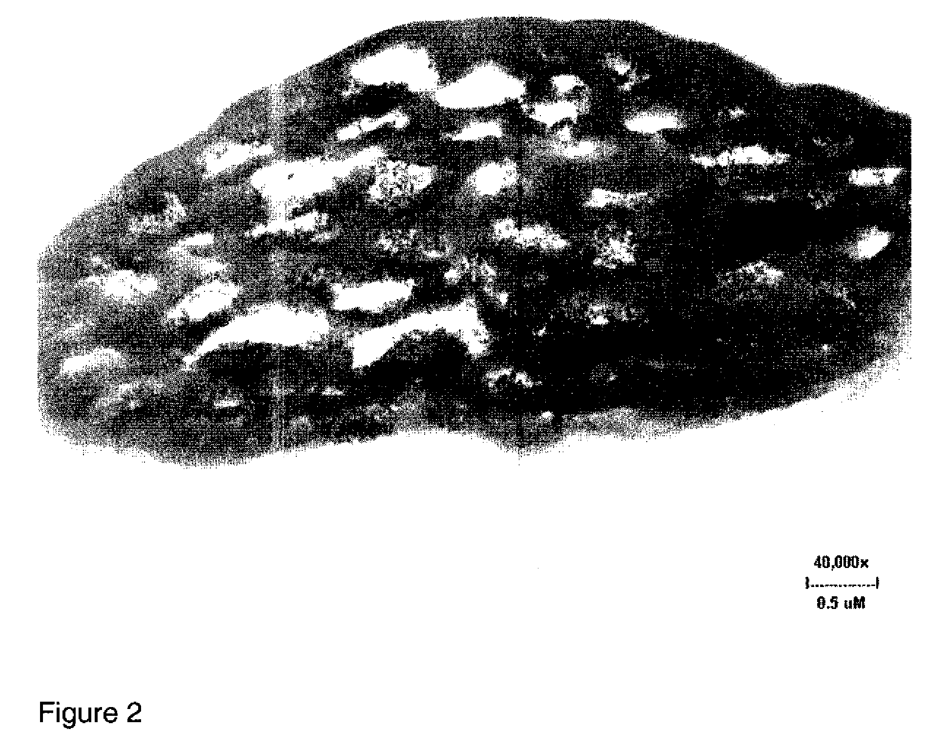 Polymer particles with additives encapsulated in microvoids