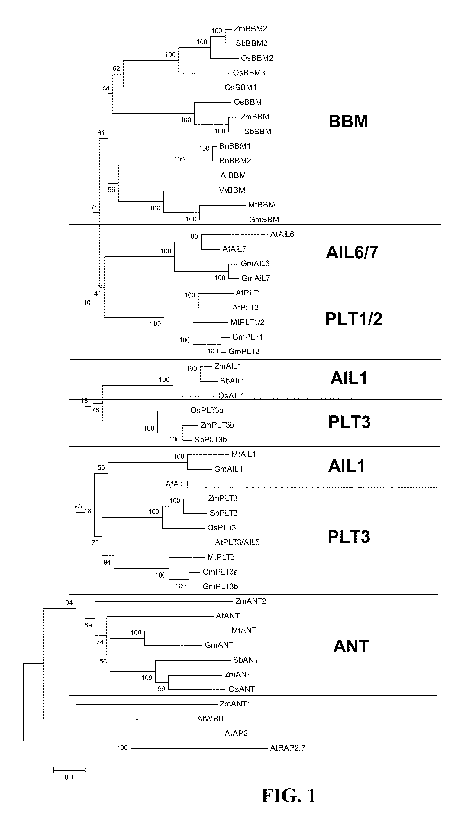 Methods and compositions for the introduction and regulated expression of genes in plants