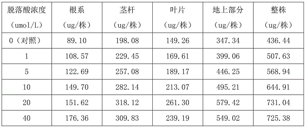 Method for improving cadmium-contaminated orchard soil remediation capability of solanum photeinocarpum